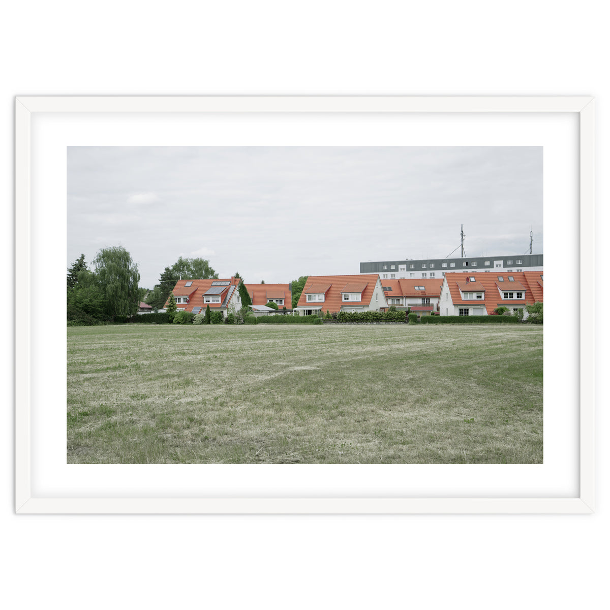 Red roof houses in the green field