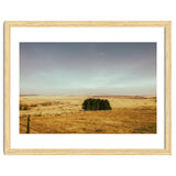 Dartmoor 2018 thumbnail