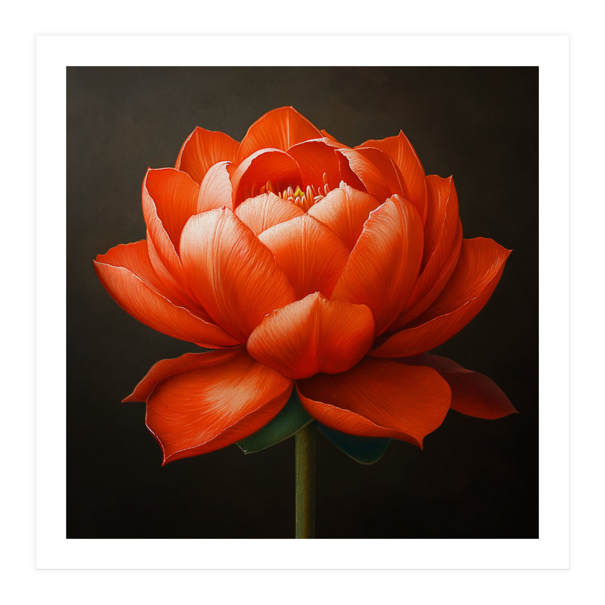 Double Lotus | Scarlet Solace (Print Only)