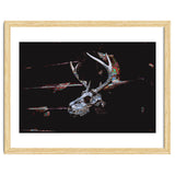 Deer Skull thumbnail