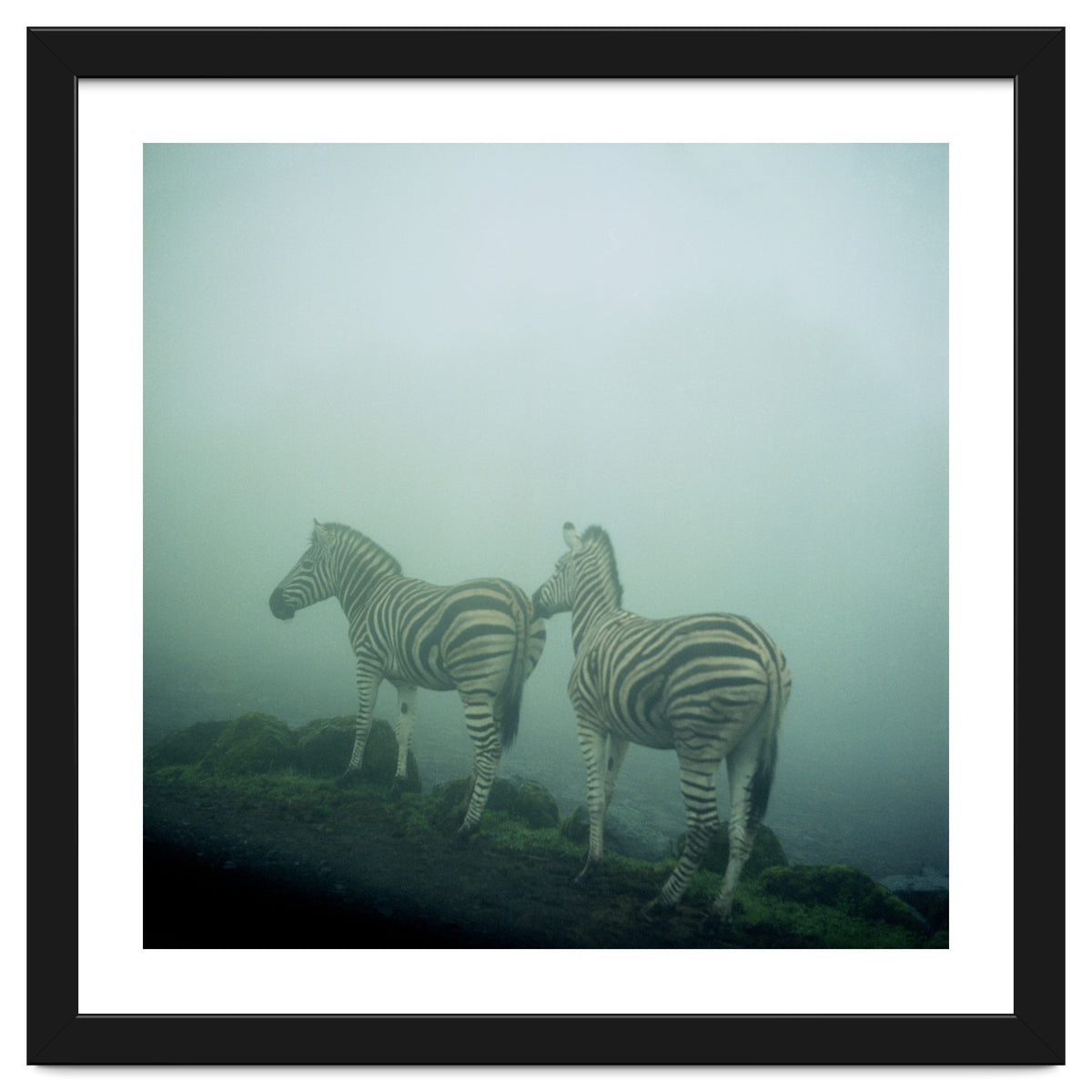 Silence of breath - 14