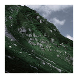 SKIN OF NATURE - WILD CLIFF (Print Only) thumbnail