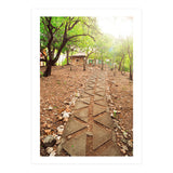 WISE (Print Only) thumbnail