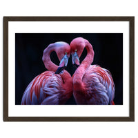 Two Pink Flamingos Forming A Heart Shape