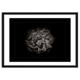 Backyard Flowers In Black And White No 81 with Border thumbnail