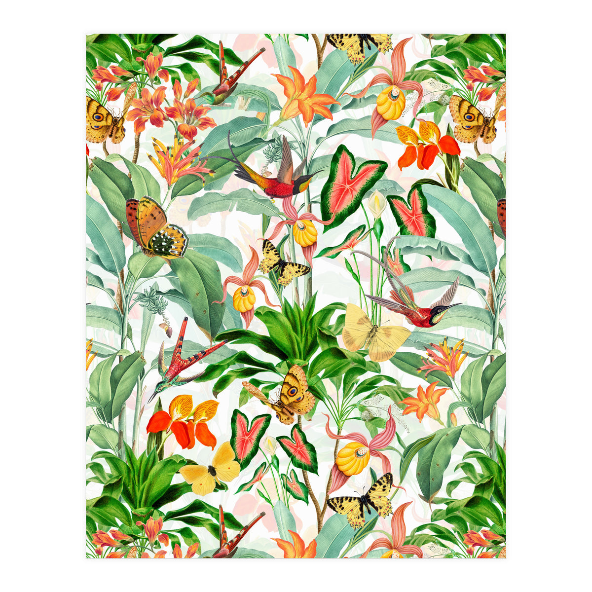 Birds And Butterflies In Tropical Jungle (Print Only)