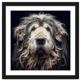 Old Dog 010 thumbnail