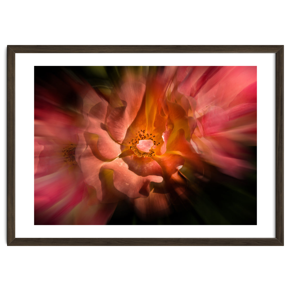 Backyard Flowers No 40 Color Flow Version