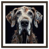 Old Dog 04 thumbnail
