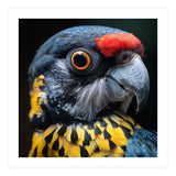 Close-up Portrait of a Vibrant Parrot (Print Only) thumbnail