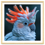 Cockatoo Bird With Orange Crest Portrait thumbnail