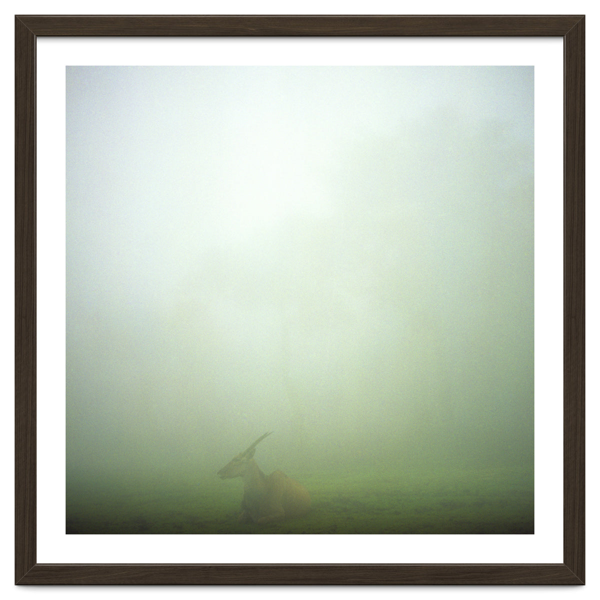 Silence of breath - 06