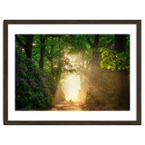 Hare in paradise thumbnail