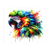 Vibrant Tropical Parrot Portrait (Print Only) thumbnail