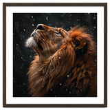 Lion Looking Up In The Snow Majestic thumbnail