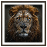 Majestic Lion With Glowing Eyes Close Up Portrait thumbnail