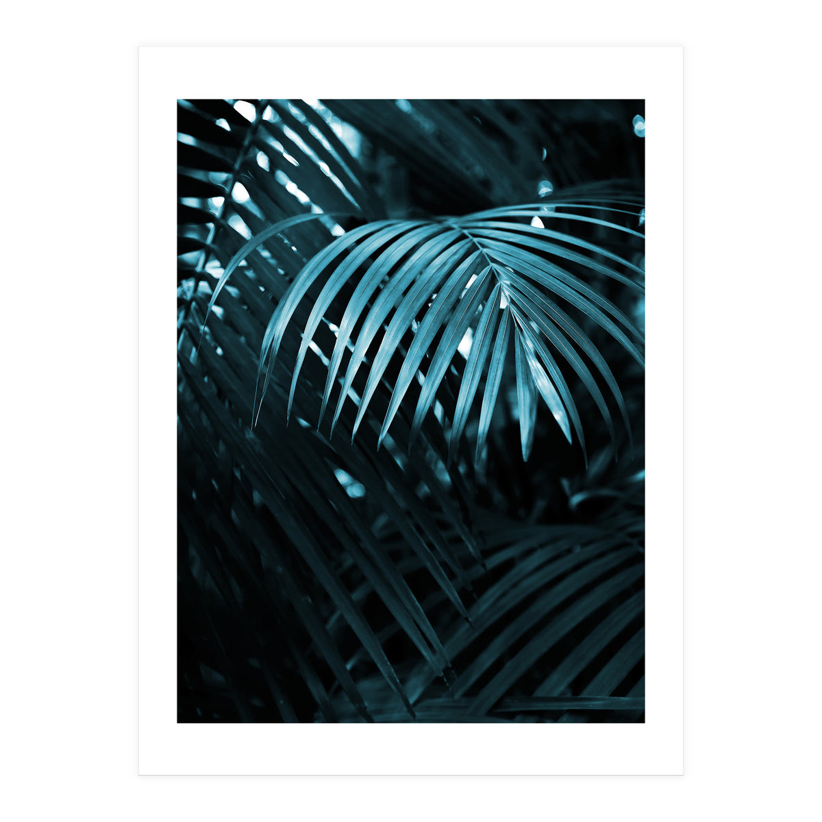 Blue Jungle Palm Ii (Print Only)