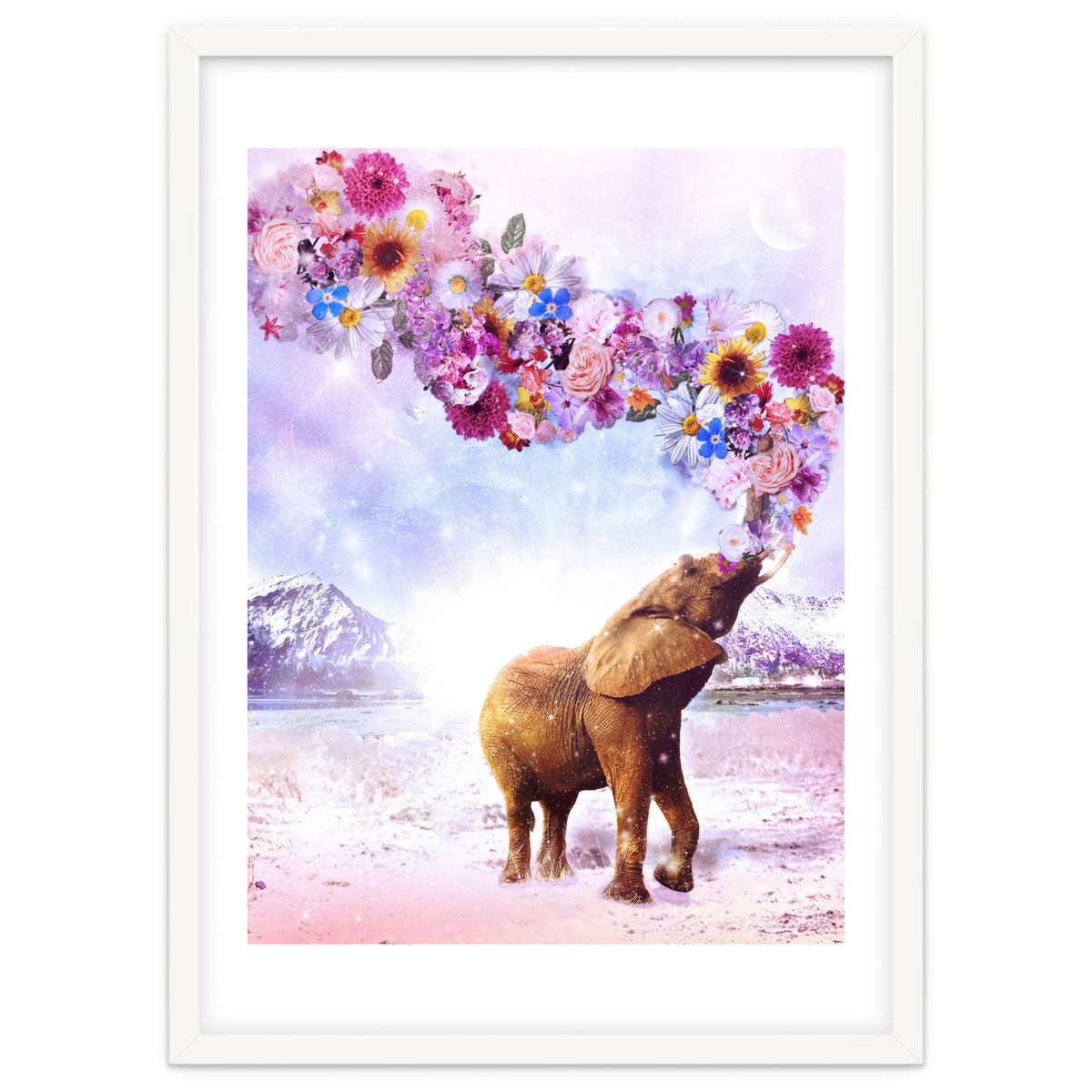 Daria - Supreme Majestic