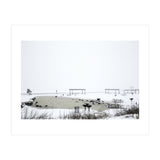 Blackbirds surrounding a frozen pond in winter (Print Only) thumbnail