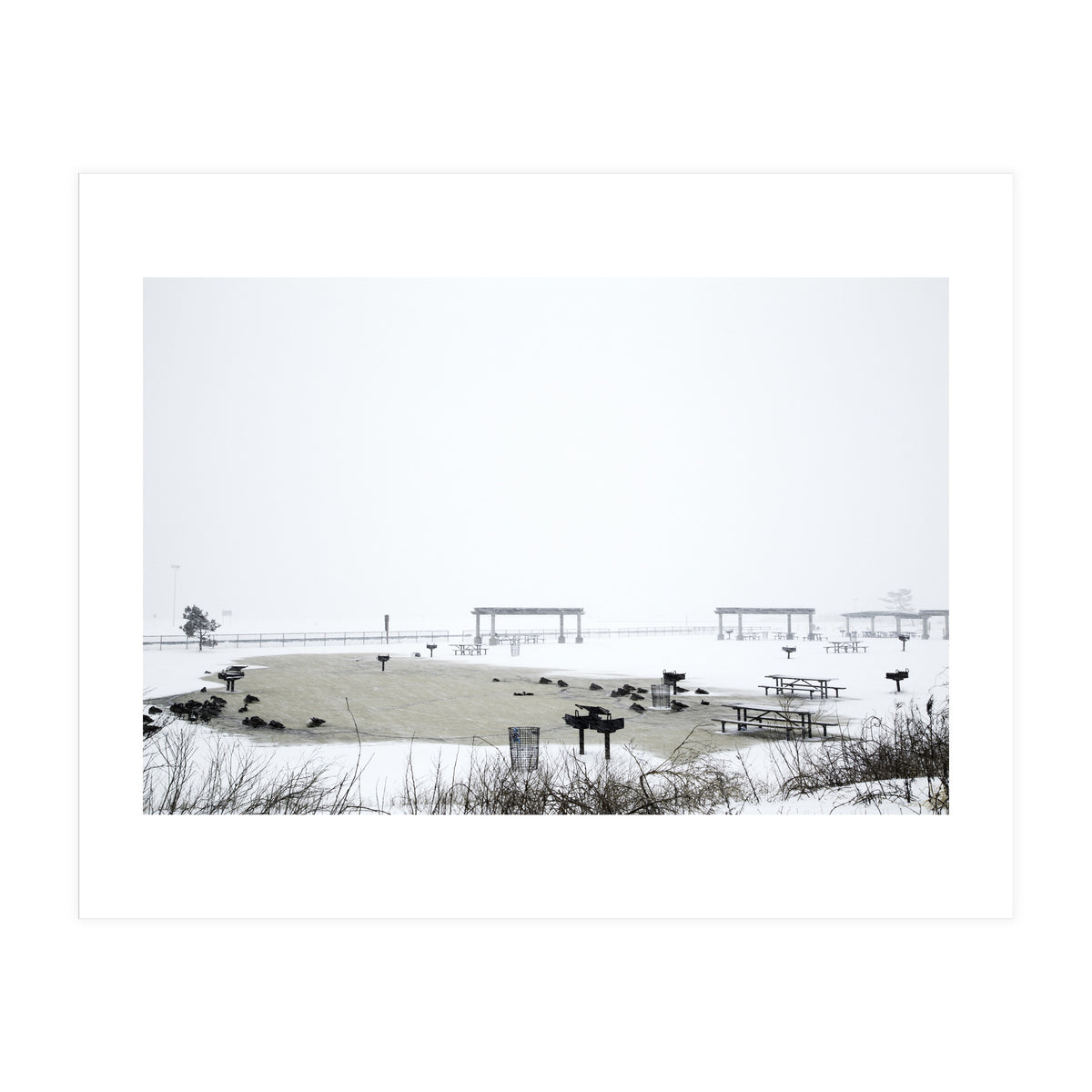 Blackbirds surrounding a frozen pond in winter (Print Only)