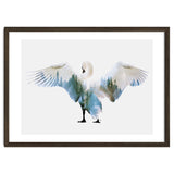 Swan thumbnail