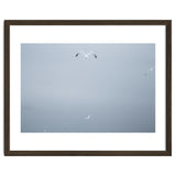A flying seagull in the winter sky thumbnail