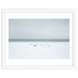 Seagulls in the Snow beach thumbnail