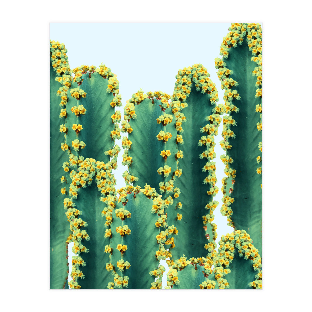 Adorned Cactus #society6 #artprints #buyart (Print Only)