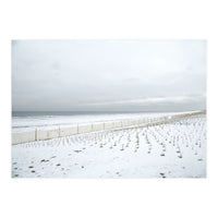 Winter grass in snow beach (Print Only)