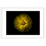 Backyard Flowers No 10 Color Version thumbnail