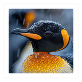 King Penguin Close Up In Snowfall (Print Only) thumbnail