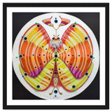 Clock butterfly thumbnail