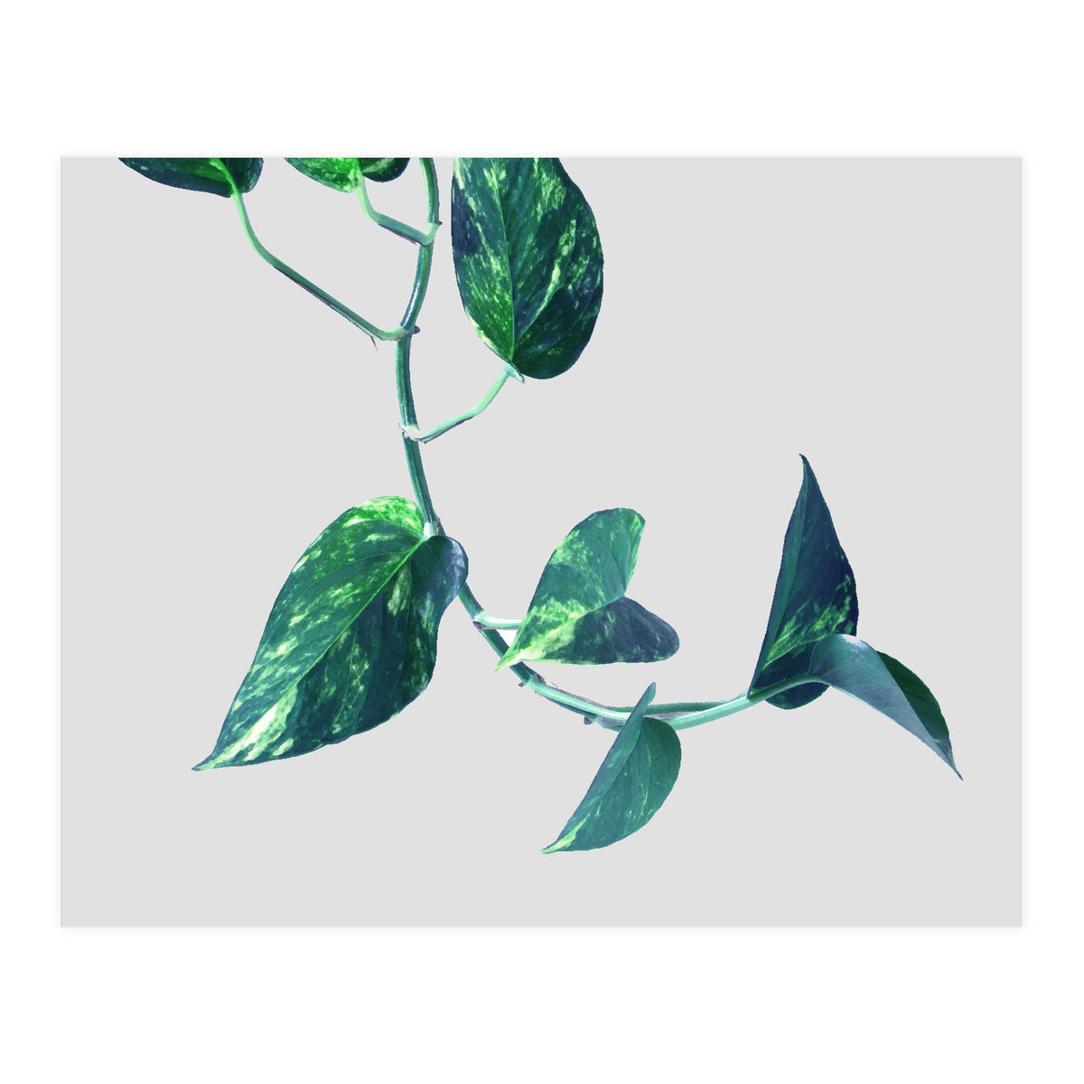 Projection & Emotion (Print Only)