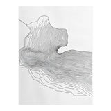 Abstract Black And White Organic Flowing Lines Pattern (Print Only) thumbnail