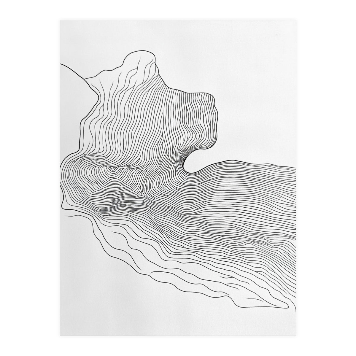 Abstract Black And White Organic Flowing Lines Pattern (Print Only)