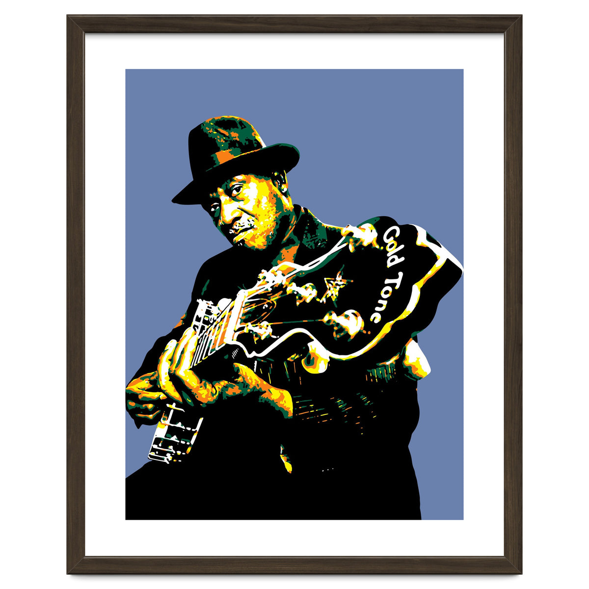 Taj Mahal American Blues Musician Legend