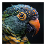 Close Up Of A Colorful Parrot's Face (Print Only) thumbnail