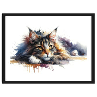 Maine Coon Resting Portrait
