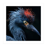 Blue Heron Bird Head With Orange Crown  (Print Only) thumbnail