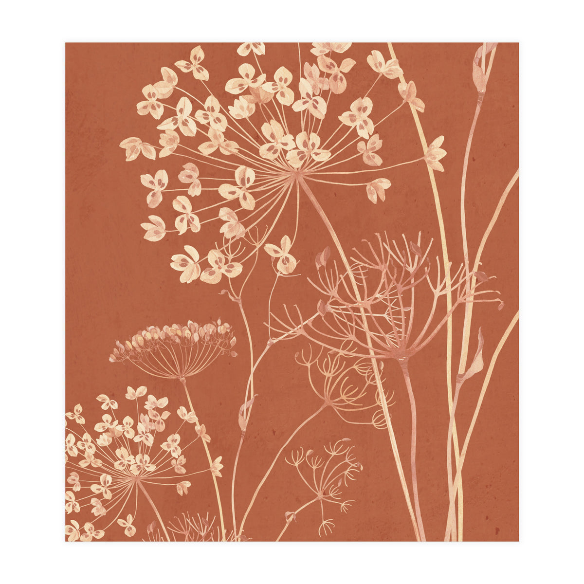 Wildflowers II (Print Only)