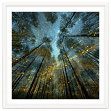 Enchanted Night Forest with Glowing Fireflies thumbnail