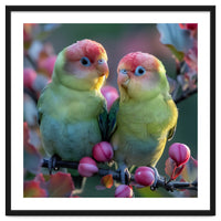 Two Lovebirds On A Branch Surrounded By Berries