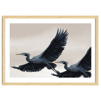 Migrating Herons