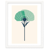 Teal Half Poppy thumbnail