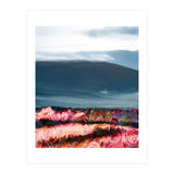 A Little Bit Of Heaven (Print Only) thumbnail