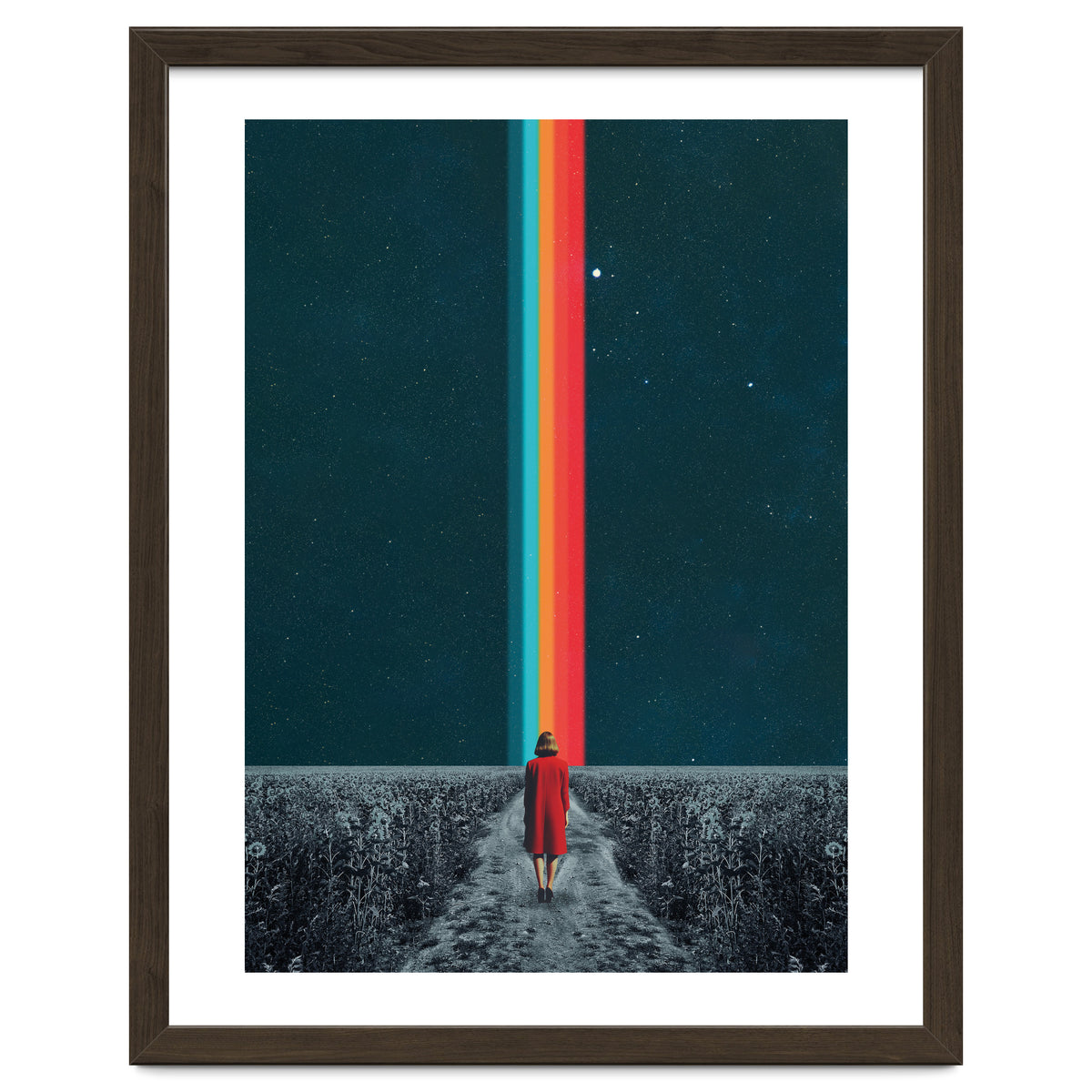 Follow Your Own Path