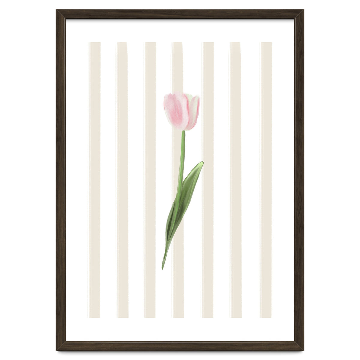 Single Tulip