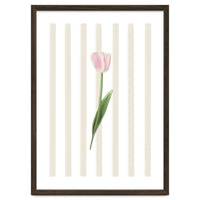 Single Tulip