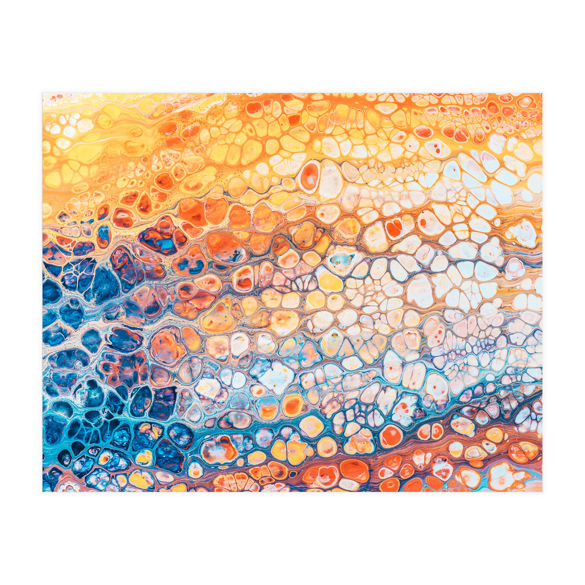 The Bright Side (Print Only)