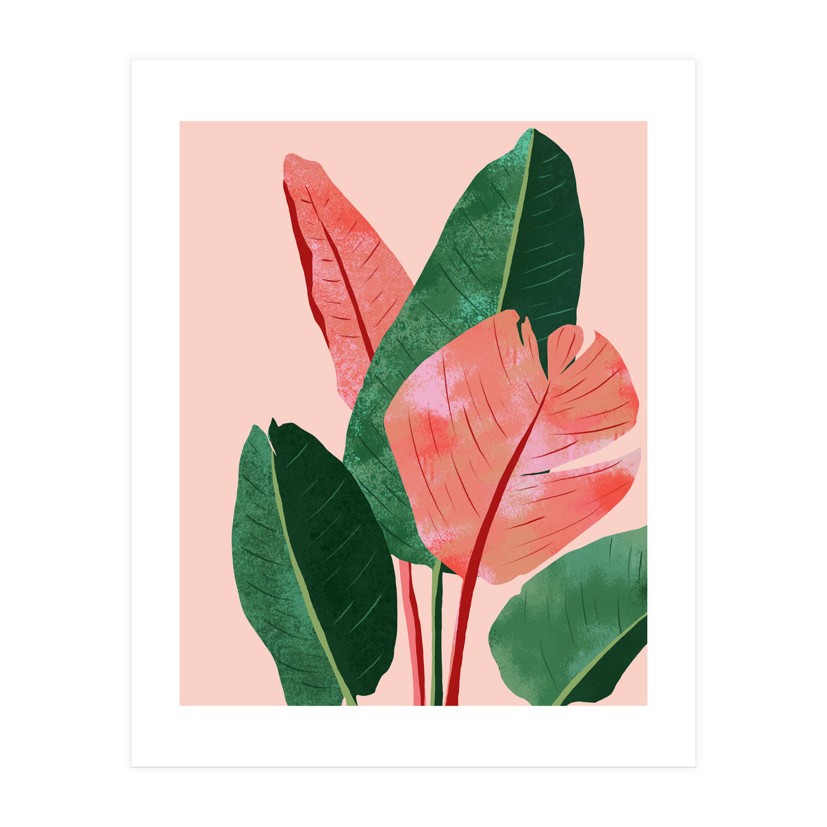 Blush Tropical, Banana Leaves Watercolor Botanical Jungle Painting, Forest Plants Leaves Pink Chic Bohemian (Print Only)